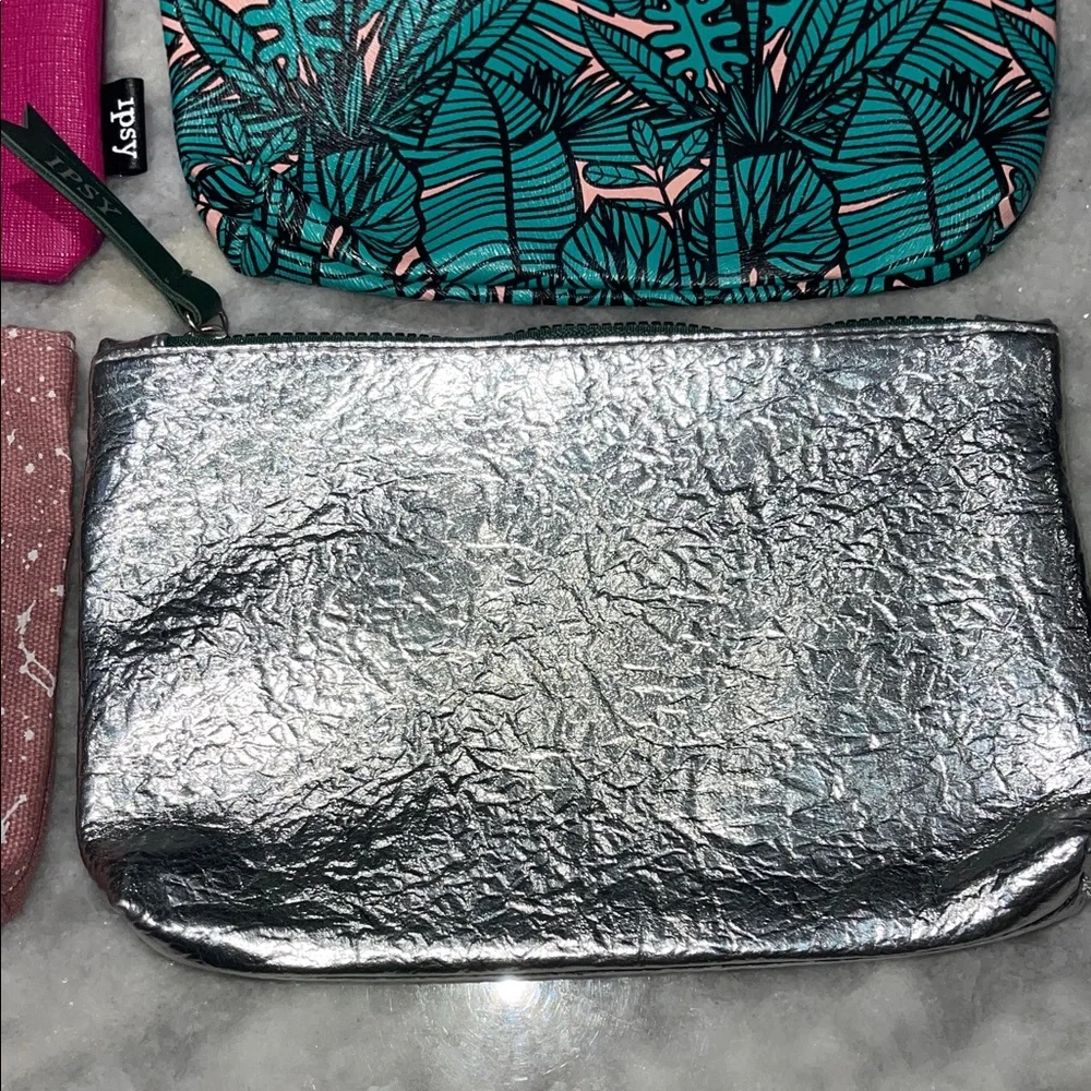 Ipsy 6pc 2019 Bags